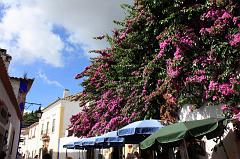 369-Obidos,29 agosto 2012